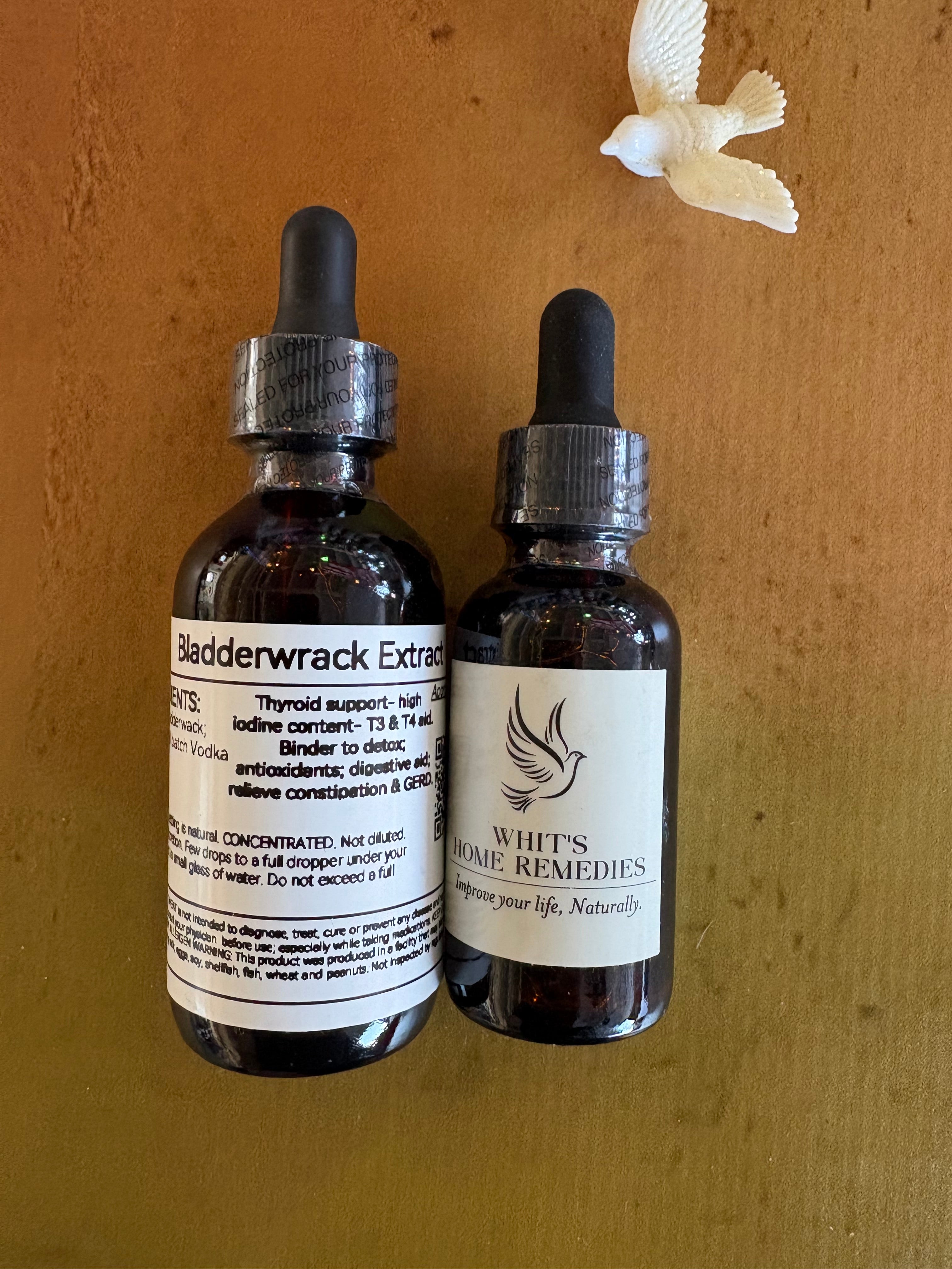 Bladderwrack Extract