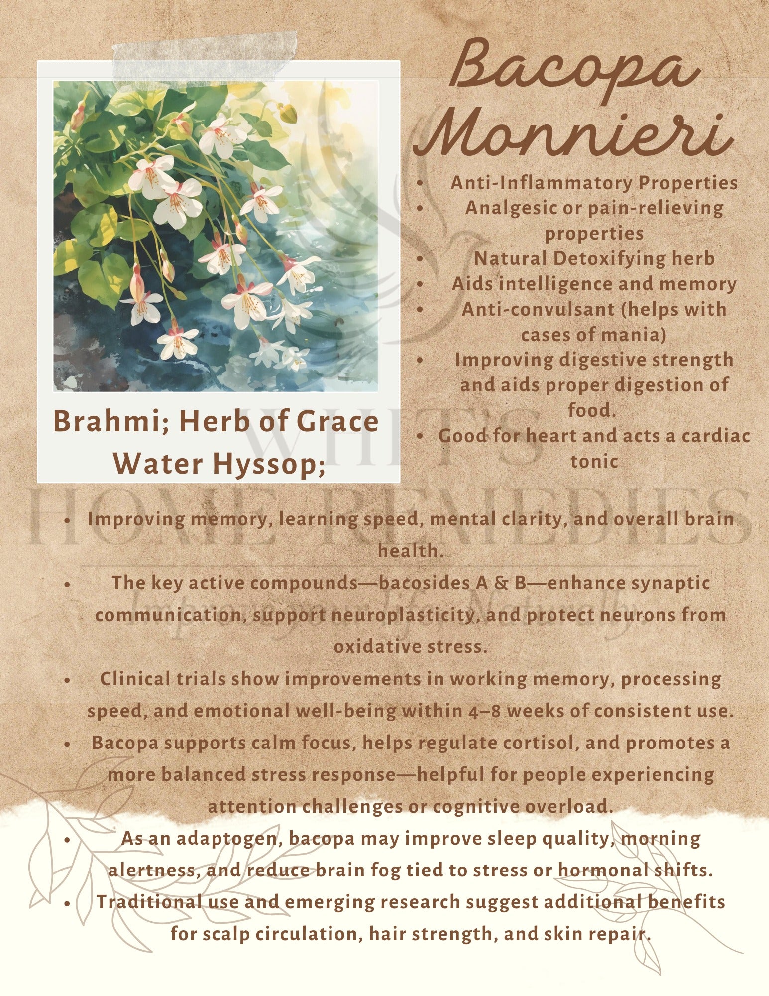 Brain Health